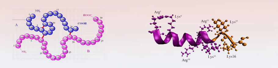 Solid Phase Peptide Synthesis Resins and Linkers - Omizzur