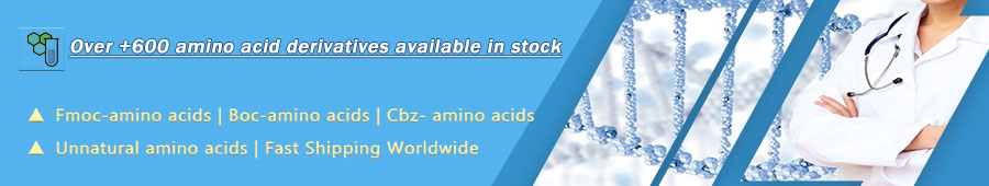 Fmoc Amino Acids List and Manufacturers Top 5