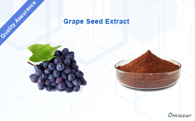 Grape Seed Extract